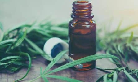 CBD et bienfaits