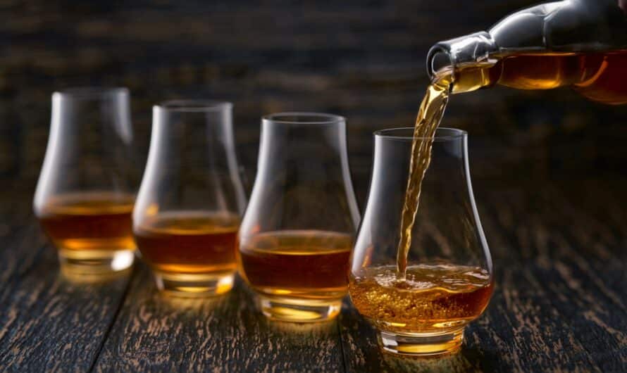 Coffret dégustation rhum du monde: quel rhum choisir?