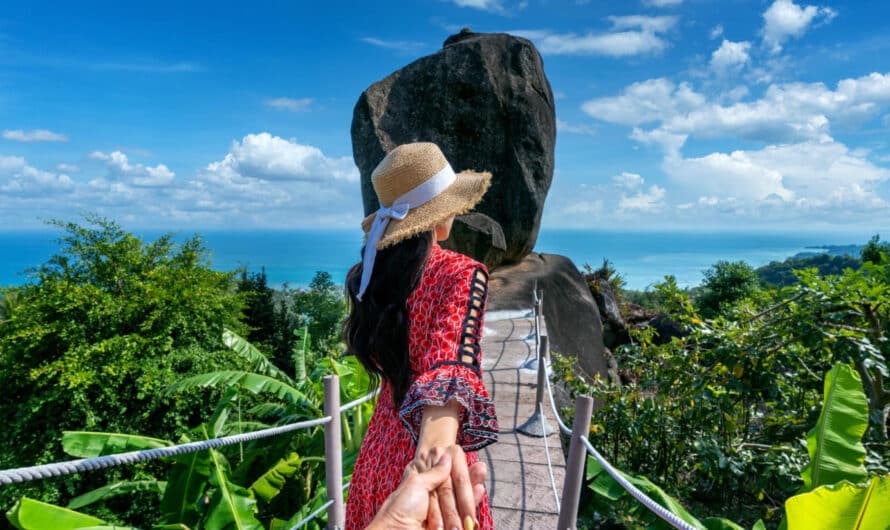 Explorer Punta Cana : excursions et expériences à ne pas manquer