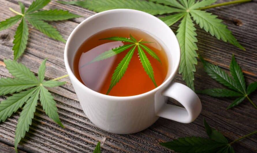 Les vrais repères pour reconnaître du CBD de haute qualité